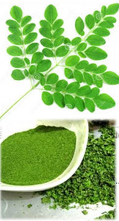 Moringa Powder = Moringa őrlemény 
